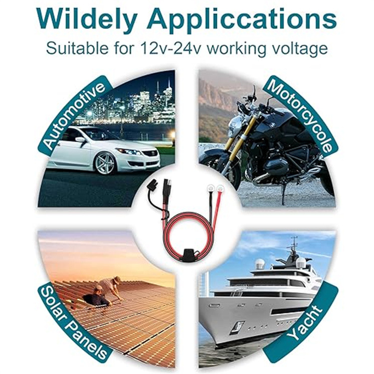 1763981986863285.jpg 12.jpg