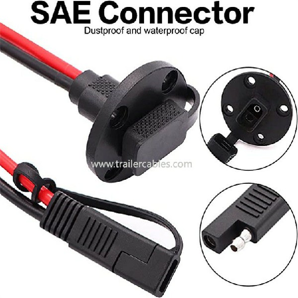 1770436646509506.jpg 2.jpg